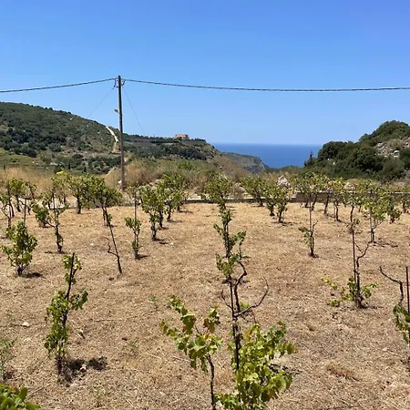 Les Oliviers Sunset Sea View On Petani Σπίτι διακοπών Βόβυκες