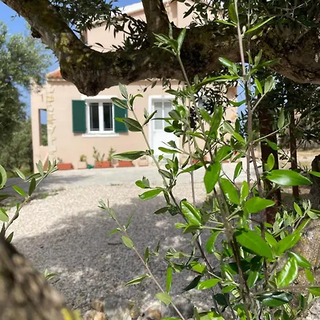 Holiday home Les Oliviers With Sea View On Petani