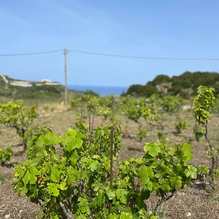 Les Oliviers With Sea View On Petani * Вовикес